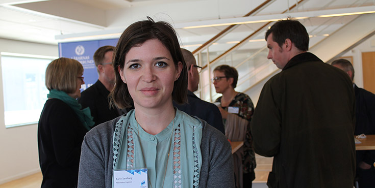 Karin Sandberg