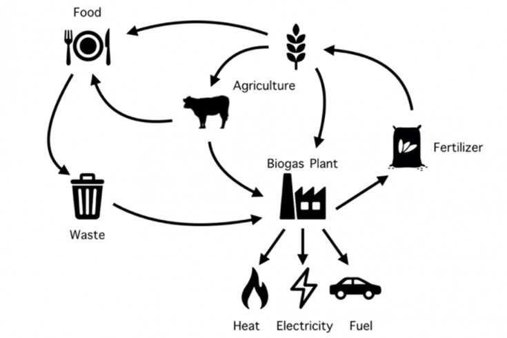 En processbild som visar biogasens kretslopp.