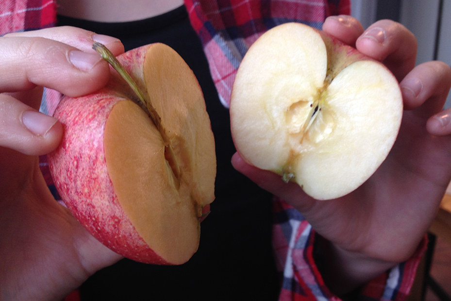Händer som håller i två äpplehalvor